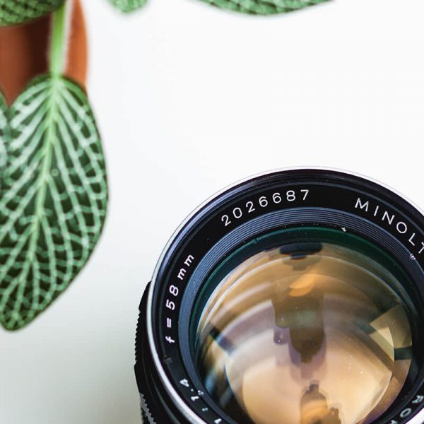 50Mm-Lens - Image 2